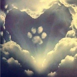 Meet your Posher, Jodi